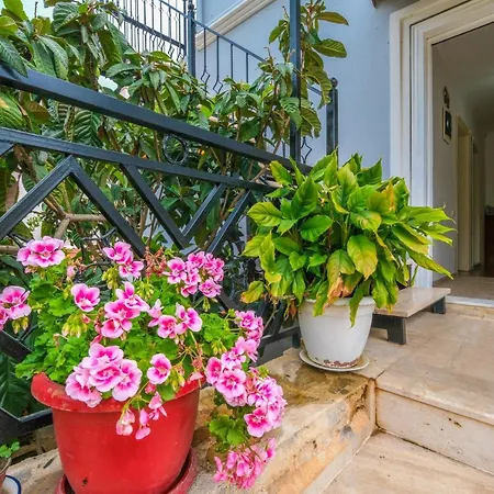 Yigit Apartment